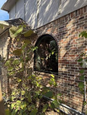 Window Installation in Carrollton, TX (2)